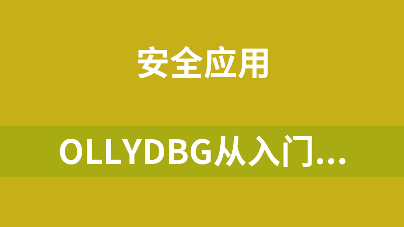 點(diǎn)擊放大 OllyDbg從入門到精通全套系列教程軟件破解視頻破解加殼脫殼教程